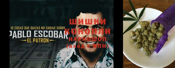 ПСИЛОЦИБИНОВЫЕ ГРИБЫ Белоозёрский