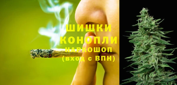 гидропоника Белокуриха