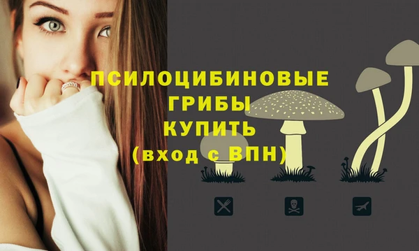 гидропоника Белокуриха