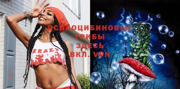 ПСИЛОЦИБИНОВЫЕ ГРИБЫ Белоозёрский