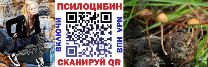 Галлюциногенные грибы мухоморы  гидра маркетплейс  Валуйки  как найти закладки 